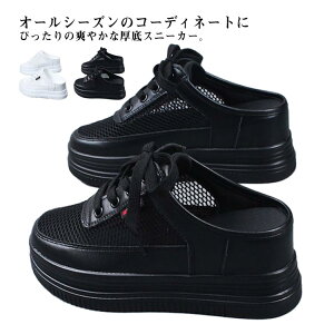 y100I5%COUPON+P5{2088~ 11/11܂ŁzXb| T{T_ T{T_ rWlX ƂȂV[Y T{ bV y Xj[J[ ʋC T_ jOV[Y Rt