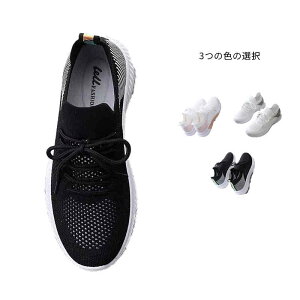 yI[vLOI5%OFFN[|E11/1܂ŁzEH[LOV[Y jOV[Y Y jp WMOV[Y X|[cEGA ^C  킢 y ~ JWA