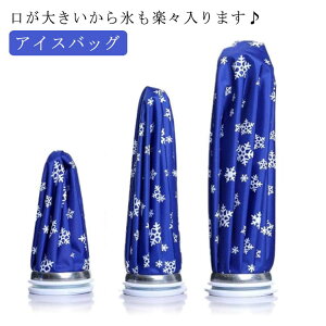 【オープン記念!P10倍→実質2172円 10/27まで】アイスバッグ 製氷ケース付き S M L 2点セット 氷嚢 膝 子供 大人 広口 小型 大型 サッカー サポーター スポーツ 水漏れ防止 氷バッグ 熱中症 暑さ対