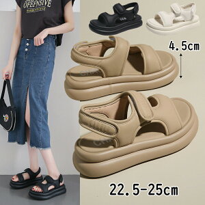 y100I5%COUPON+P5{4186~ 11/17܂ŁzRtH[gT_ X|[cT_ T_ 4.5Z`q[ r[`T_ Ɩ̌C q l T_ ʋC rC  Xj[J