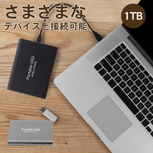 yP10{I2290~2061~ 10/17zOtSSD 1TB SSD ǂݎ560MB/s m[g USB 3.2 510MB/s fXNgbv PC őǂݍ ő发 Ot