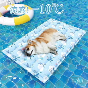 yI[vLOI5%OFFN[|E11/1܂Łz⊴}bg t ybg Ђ}bg  ybgp}bg WF}bg ybgpN[}bg ⊴Q}bg w ėp pV[g 