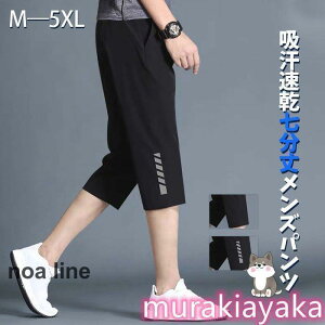 y100I5%COUPON+P5{2608~ 11/11܂Łzn[tpc Y  Y{ Y n[t jO tBbglX g[jO ^ W[W  傫TCY pc V[g X