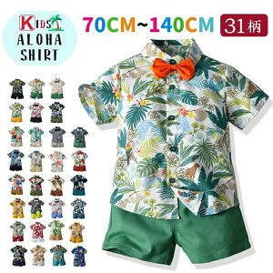 y2990~2930~ P2!zLbY An ZbgAbv _X AnVc 2_Zbg    Vc WjA JWAVc ㉺Zbg xr[ j n[tpc 