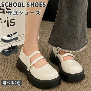 y100I5%COUPON+P5{3591~ 11/17܂ŁzC wC  [t@[ fB[X Xgbv w ʋ ʊw ؍ t@bV Z w Ǝ w RXv ubN V[Y 