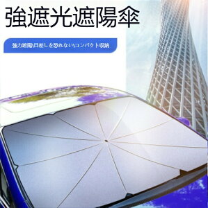 yI[vLOI5%OFFN[| 11/14܂Łz TVF[h  tg P^ VVF[h J[TVF[hՌ ՔM UVJbgOՕ 򉻖h~ vCoV[ی tȒP [