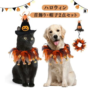 y100I5%COUPON+P5{2279~ 11/17܂ŁznEB   Xq 2_Zbg RXv  ȒP 蕨  ^ ^ ^ RX`[ ڂ 