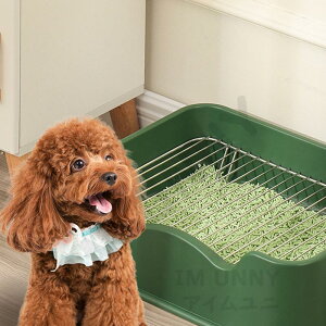 y5252~5147~ P2!zLgC XRbvt 傫 lR ^ ^ L юUh~ lRpi  Lpi A⍻ юUh܂ | ɂ΍e Vv J