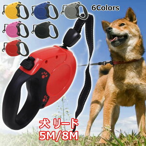 y100I5%COUPON+P5{2690~ 11/17܂Łz [h Lk[h 莮hbO[h 8M bN@\t Up[h y ^ ^ ^ O[h 5M p[h ׏d40kg