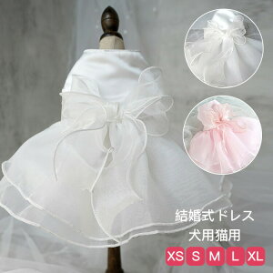 y100I5%COUPON+P5{1980~ 11/17܂Łzybgm L EFfBOhX    m L EFfBO hX `[XJ[g [X tH[}hX ybg ybg