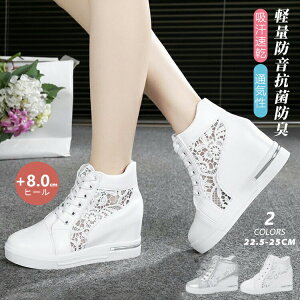 y3730~3544~ 5%N[|zz! 11/30 23:59zCq[Xj[J[ Xj[J[ fB[X n Xj[J[ bV Cq[ 8cm [XAbv ʋC Ȃ r y 