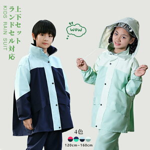 y4653~3807~ P5+5%COUPON+10%OFF! 11/27 01:59zLbY CEGA CX[c ㉺Zbg ̎q ] hZΉ q Zp[g ZbgAbv J ʊw  ъԊwZ C