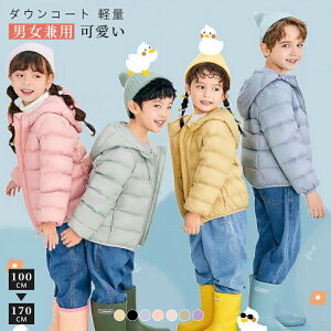 y3380~3312~ P2!zLbY _EWPbg _ER[g AE^[ h n y ۉ t@bV ܂ݎ jp LfB[F 킢  o h h 