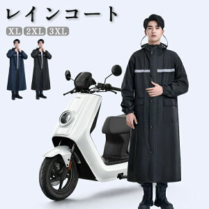 y100I5%COUPON+P5{3222~ 11/17܂ŁzCR[g OJ ] ʊw ʋ ۈ牀 h oCN SO NA V fB[X Y J y J GGȂ  