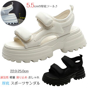 yI[vLOI5%OFFN[|E11/1܂ŁzX|[cT_  }WbNe[v EFbW\[ fB[X I[vgD ʋC y ~  h 5.5CM JWA Xj[J[