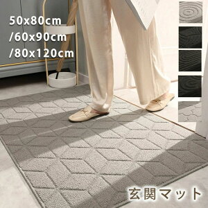 【オープン記念!5%OFFクーポン・11/1まで】玄関マット 屋外 室内 泥落とし 風水 ラグマット ドアマット 汚れ防止 滑り止め付き 足ふきマット 屋外マット カーペット 出入り口 お手入れ簡単