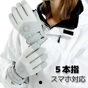 y100I5%COUPON+P5{1971~ 11/17܂ŁzXm[O[u XL[O[u Xm[{[h O[u 5{w Xm{ AEghA Lv oR oCN ] oCN ~߉H h  h