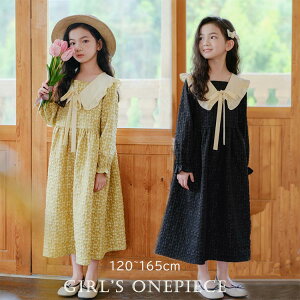 y4380~4292~ P2!zs[X ̎q K[Y t H  ܎O ̎q  tH[} w  Ǝ  \  ubN CG[ i ʉ ʊw a LbY