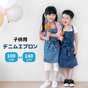 y100I5%COUPON+P5{2016~ 11/17܂ŁzfjGv Ԃ邾 LbY qp eq ̎q ct ۈ wZ k   킢  h Gvs[X n ȒP 