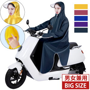 y100I5%COUPON+P5{2124~ 11/17܂ŁzCR[g ] oCN 傫TCY ʋ ʊw  |` t[ht tFX w Z CEFA AEghA H hJ ~J