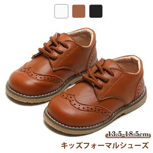 y100I5%COUPON+P5{2637~ 11/17܂ŁztH[} q tH[}V[Y j̎q ̎q  sAm\ qC tH[}C Zj[  ʉ ʊw Cxg  