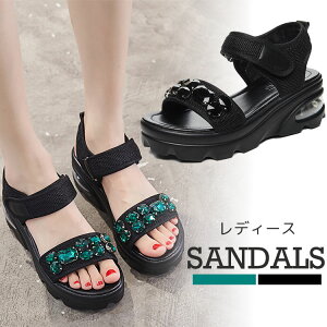 y100I5%COUPON+P5{5841~ 11/17܂ŁzfB[X  X|[cT_ T_ 6cm r[`T_ y fB[X r[`T_ C C xN Xj[J[ X|[c T