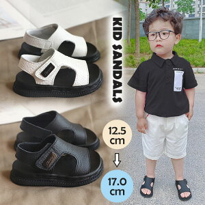 y2484~2236~ P5+5%COUPON! 11/27 01:59zLbY T_ j̎q T_ {CX xr[T_ Ԃ q qǂ ct AEghA ₷ 12.5 13 14 15 16 17cm zCg ubN 