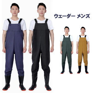 yP10+5%COUPON! 11/19 23:59zEF[_[ `FXgnC Y fB[X  |  tBbVOX[c  23-28.5cm 4F C C ނ _ 