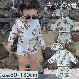 y2894~2836~ P2!z xr[ LbY bVK[h j̎q ̎q UVJbg Lbvt XCpc w O΍ Ăh~ XCEFA ct ۈ牀 w r[` C