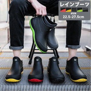 y2786~2507~ P5+5%COUPON! 11/27 01:59zCu[c Y fB[X CV[Y h AEghA h C JWA C u[c ʋ ʊw CV[Y  h 