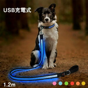 �y2523������2397�~ P5!�労�ӍՁz�y�b�g ���[�h ���p�i LED ���� USB�[�d�� ���C�g �� �U�� ���S �h�� ���̖h�~ ���^�� ���^�� ��^�� ������� ���킢�� �s�J�s�J ���U�����C�g �U���O�b�Y ���S 