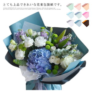 y2321~2275~ P2!zbsOy[p[ ԑ  h 58*58cm 10 jɂ LO a o^Cf[ ԉ 蕨 Mtg v[g p bsO Jt 