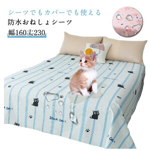 y2099~2057~ P2!zh hJo[ gCg[jO h_j z  L VjA OK q Q΍ xbhhJo[ ybg h zc ˂ hJo[ |zc 