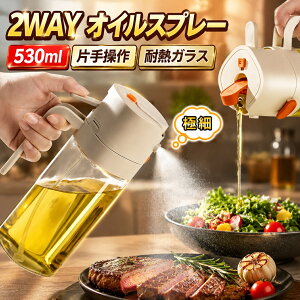 �_���ڋʏ��i�^�I�C���X�v���[ 2WAY�^�C�v 530ml �ɍז��� �{�g�� �Ў葀�� �I�C������ �R��h�~ �t����h�~ �������e�� �I���[�u�I�C�� �T���_�� �m���t���C���[�p �����p �I�C���|�b�g �ߖ� 