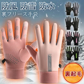 手袋 グローブ レディース スキーグローブ スマホ対応 手ぶくろ 防寒グローブ あったか 冬 スポーツ ハイキング 自転車用 釣り 防風 防雪 防水