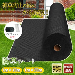 P10{IhV[g G΍  1mx50m hV[g V[g sDz  ϋv x Gh~V[g Hp _ | ƒ؉