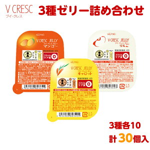 Vi uCENX [[ 3e10 v30 Lbg }S[  j[g[