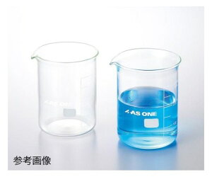 2-5091-06 �r�[�J�[ 500mL