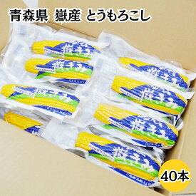 青森県 嶽産 とうもろこし 真空パック Sサイズ 40本セット 嶽きみ 弘前 岩木 ケース販売