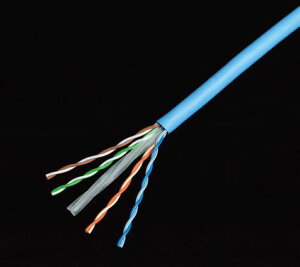 ���{���� Cat6 U/UTP�P�[�u�� 4P NSGDT6-PC-B 200m ���F�I���\