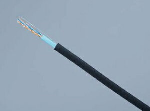 ʐM Cat6 LANP[u UTPOpP[u 200m TSUNET-1000E-LAP-FR AWG24-4P