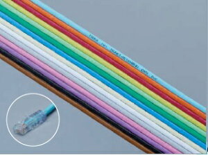 ʐM Cat6 LANP[u UTPQ̕Wi 100m TSUNET-MC1000E(B) AWG24-8C