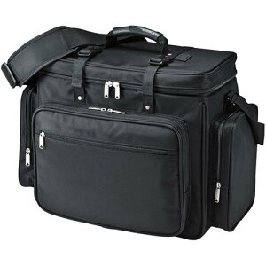 TTvC BAG-PRO4 vWFN^[obOi15.6C`ChΉEubNj