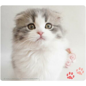 TTvC MPD-215E }EXpbhiXReBbVtH[hj