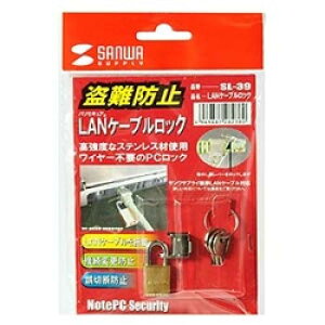 TTvC SL-39 LANP[ubNi싞^Cvj