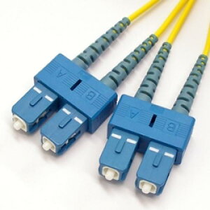 GCdq AFP2-DSC/DSC-SM-10 t@Co[P[u DSC/DSC VO[hE9/125m 10m