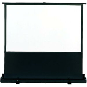 EPSON ELPSC24 80^XN[(16:10)