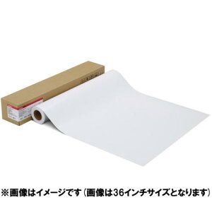 CANON 1107C001 ʐ^pE v[v`iO[h] LFM-GPPT/42/300