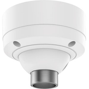 �A�N�V�X 5507-461 AXIS T91B51 �V�[�����O�}�E���g