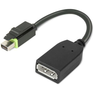 m{ 4X90Q93975 ThinkStation Mini DisplayPort - DisplayPortA_v^[